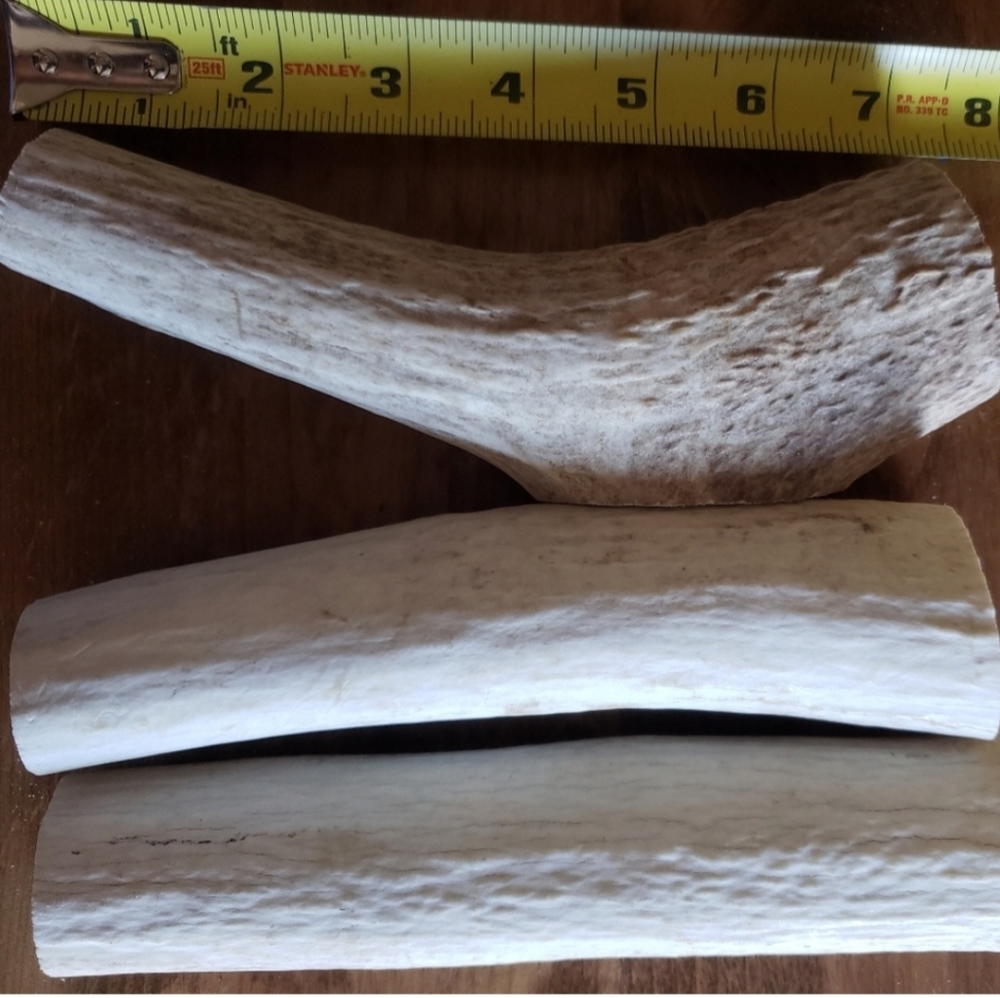 2 Large (6-8") Elk Antler Dog Chews B Grade.